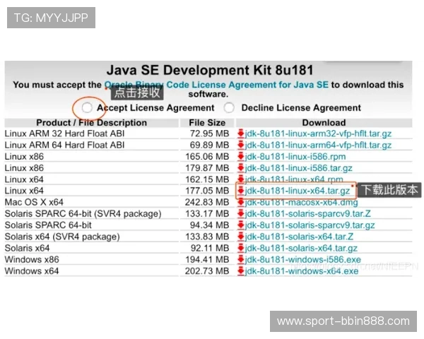 如何利用360时时彩的历史数据分析实现精准投注策略